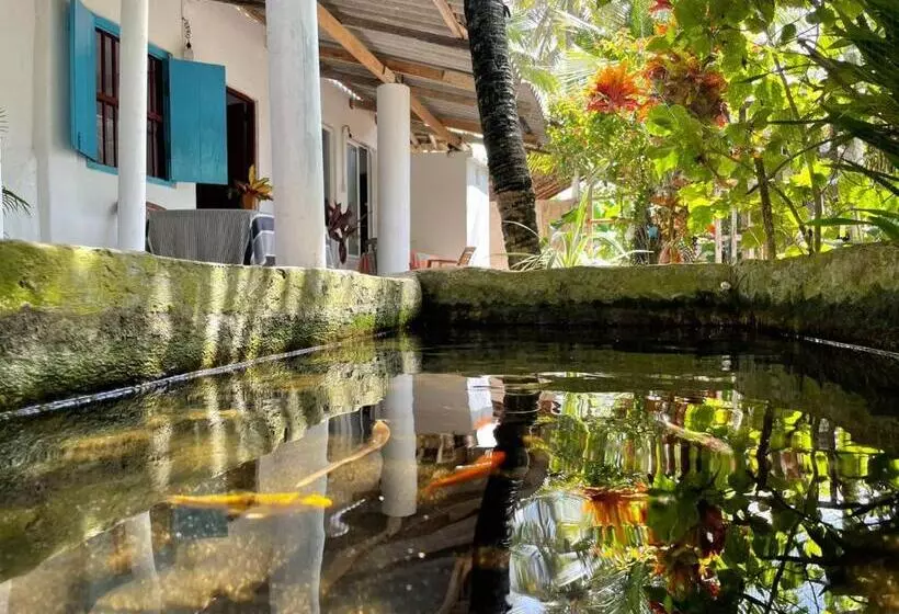 Majatalo Senuri Guest House