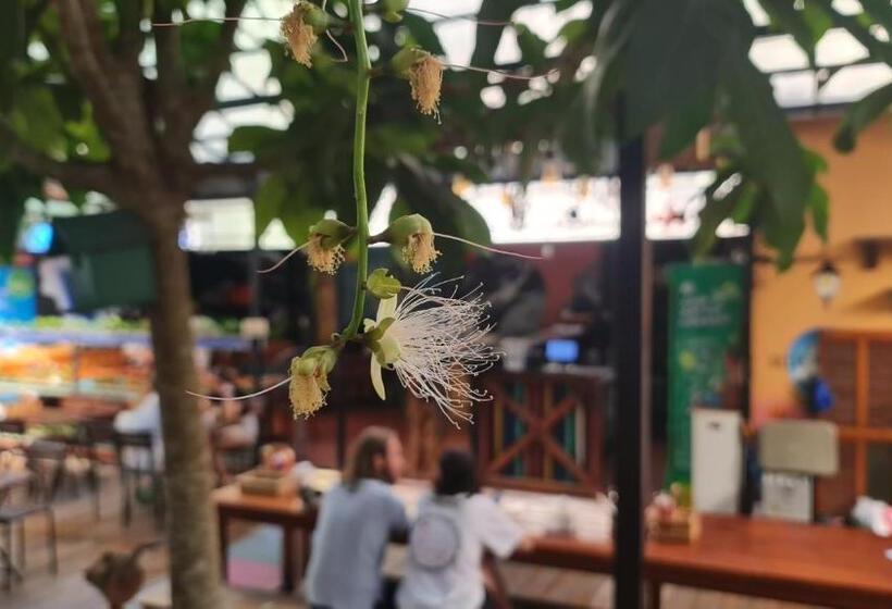 هاستل Secret Garden Cat Ba