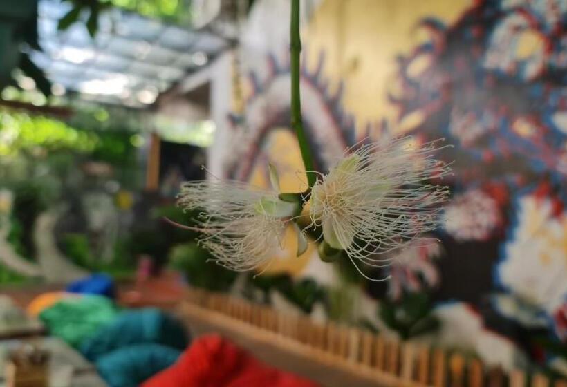 هاستل Secret Garden Cat Ba