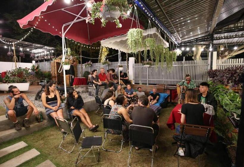 هاستل Secret Garden Cat Ba