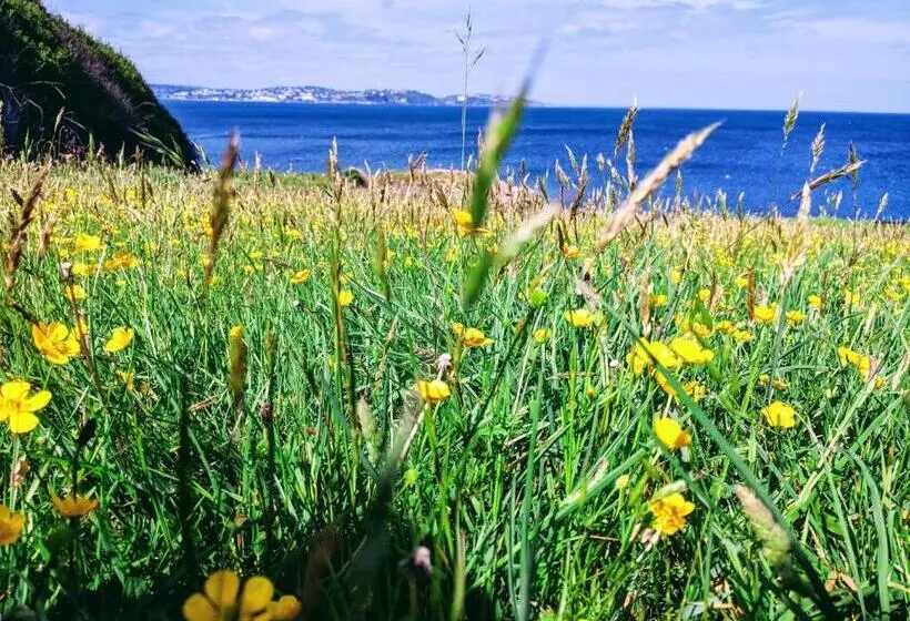 فندق Abingdon House