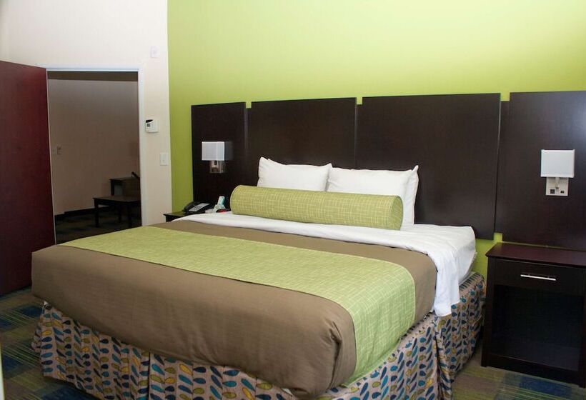 호텔 Best Western Plus Pratt