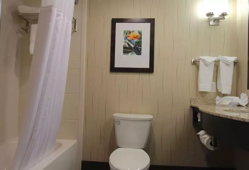 ホテル Hilton Garden Inn Findlay