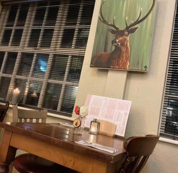 乡村酒店  Station Inn B&b