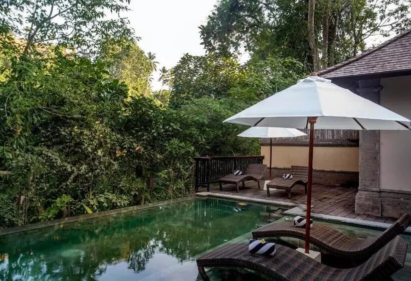 酒店 The Lokha Ubud Resort, Villas & Spa