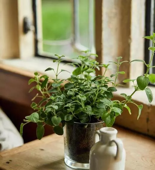 ホテル The Slaughters Country Inn