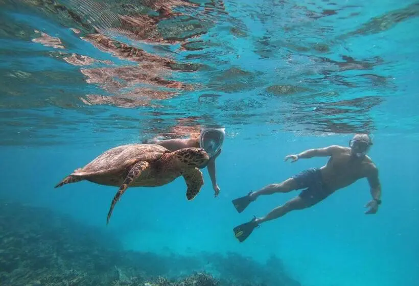 پانسیون Isla Dhiffushi