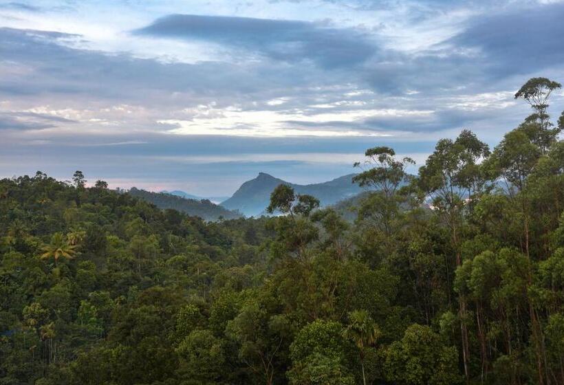 渡假胜地  White House, Munnar