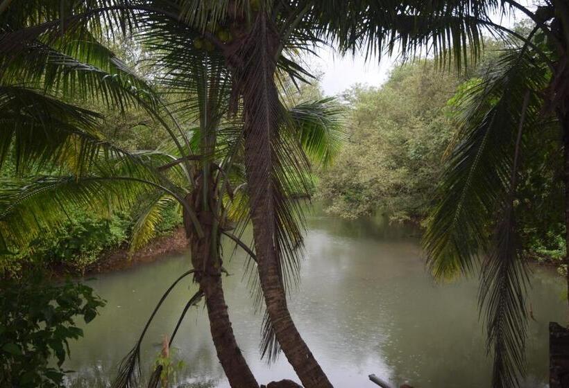 Pensão Dalia Guest House