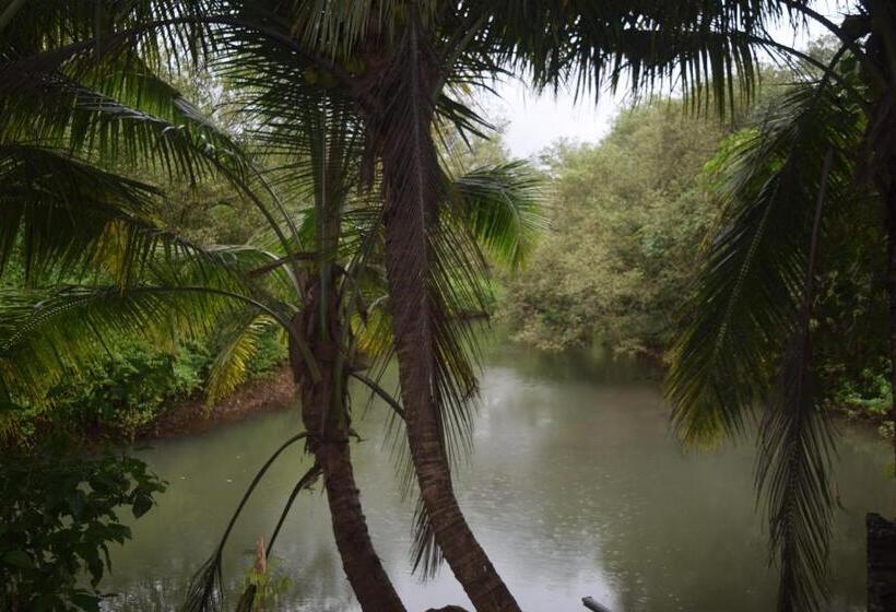 Pensão Dalia Guest House