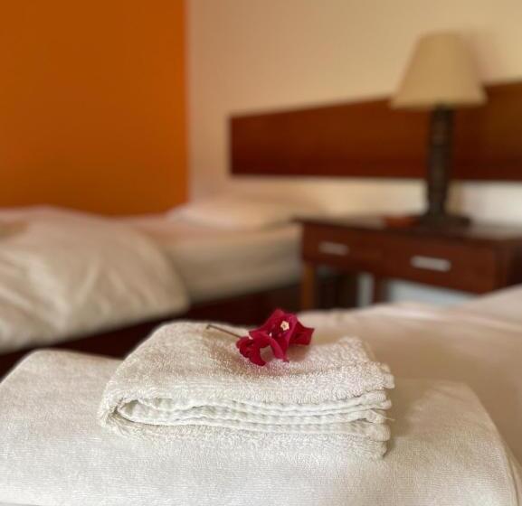 Pension La Casa De Pitty