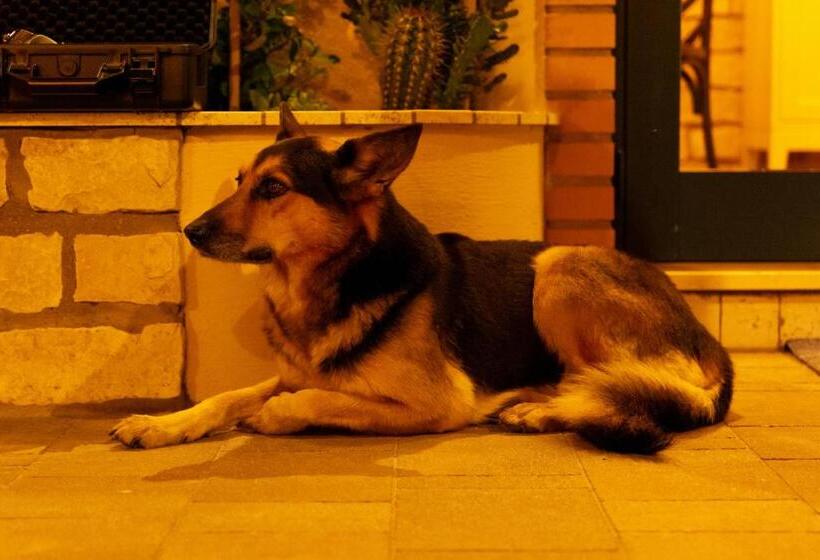 호텔 Agriturismo Casa Chiara