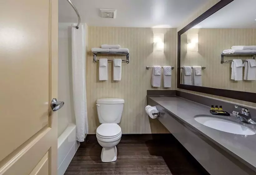 Hotel Best Western Plus Meridian