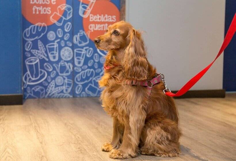 ホテル Ibis Budget Curitiba Centro