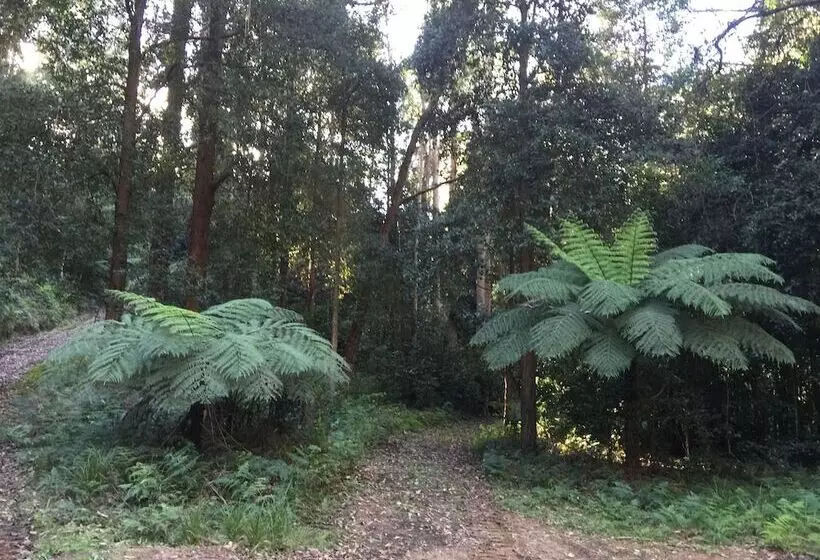 Отель Sinclairs Country Retreat