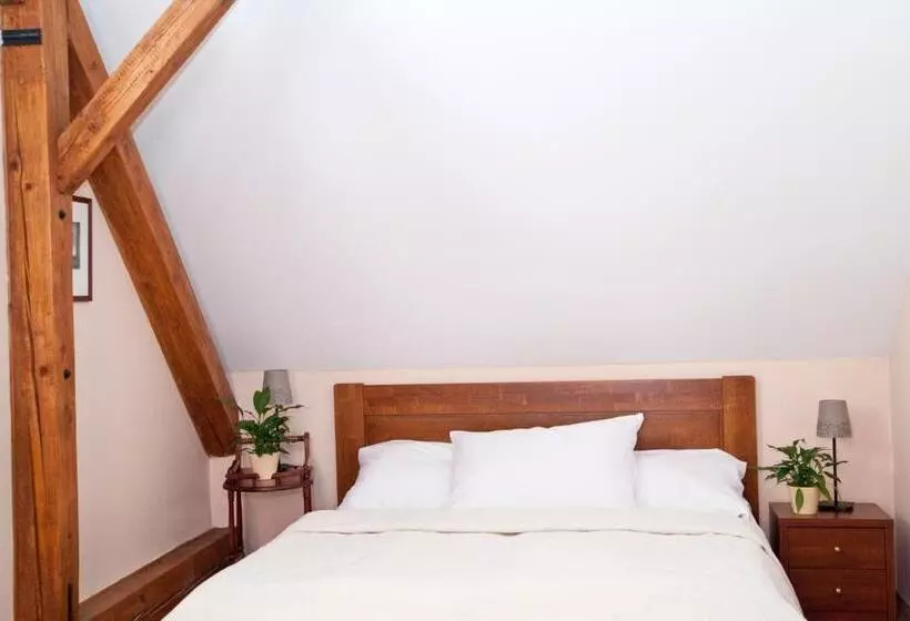 Hotel U Zlatého Lva