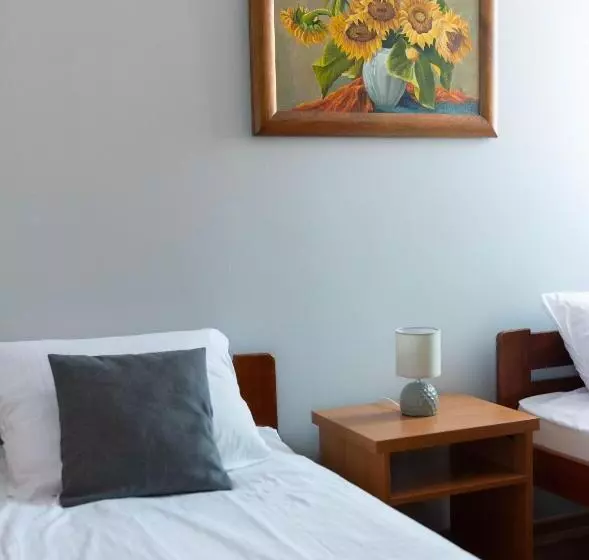 Motel Noclegi Grill Solo