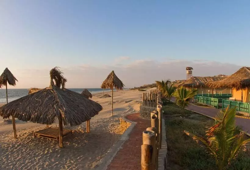 Vichayito Bungalows & Carpas