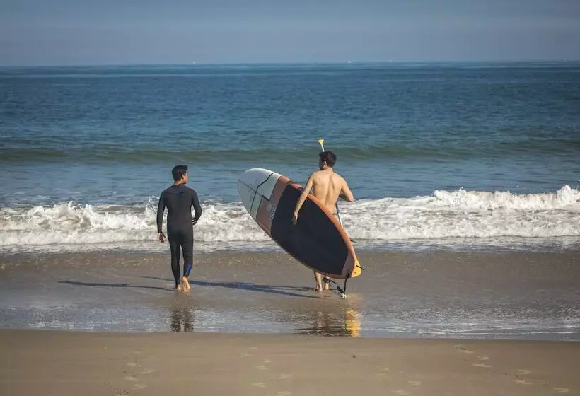 Vichayito Bungalows & Carpas