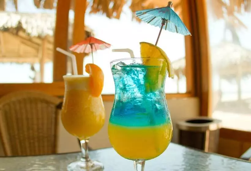 Vichayito Bungalows & Carpas