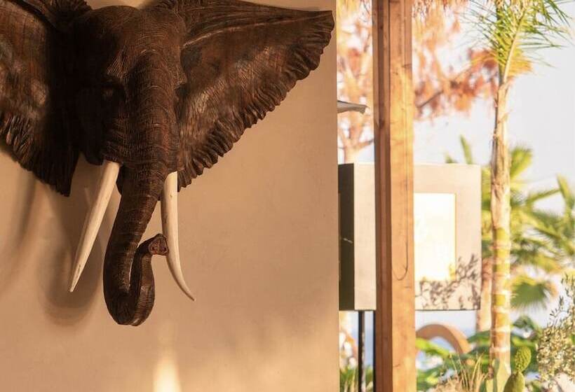 هتل La Brisa Boutique