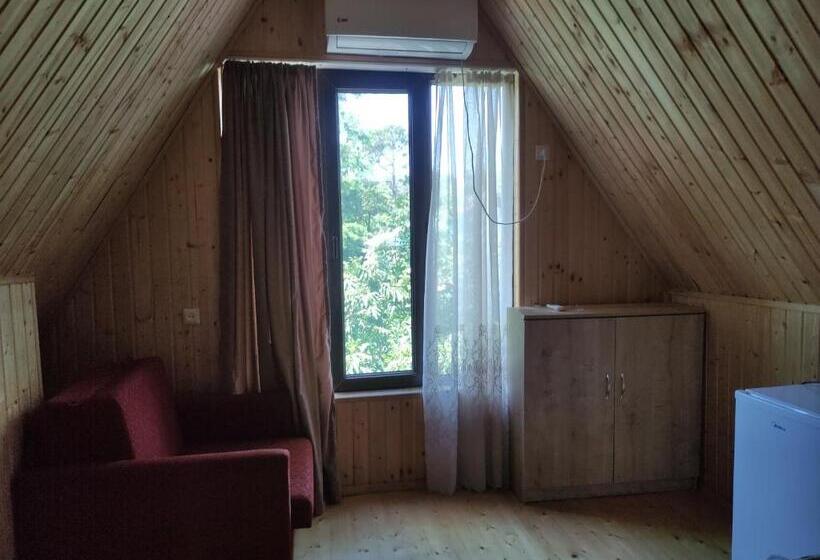 پانسیون Valdi Guest Shekvetili