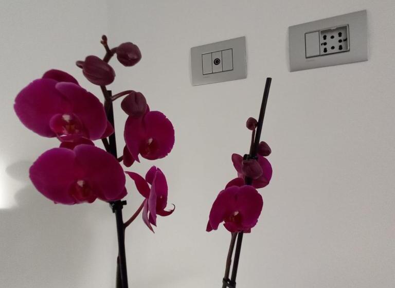 پانسیون Villino Liber