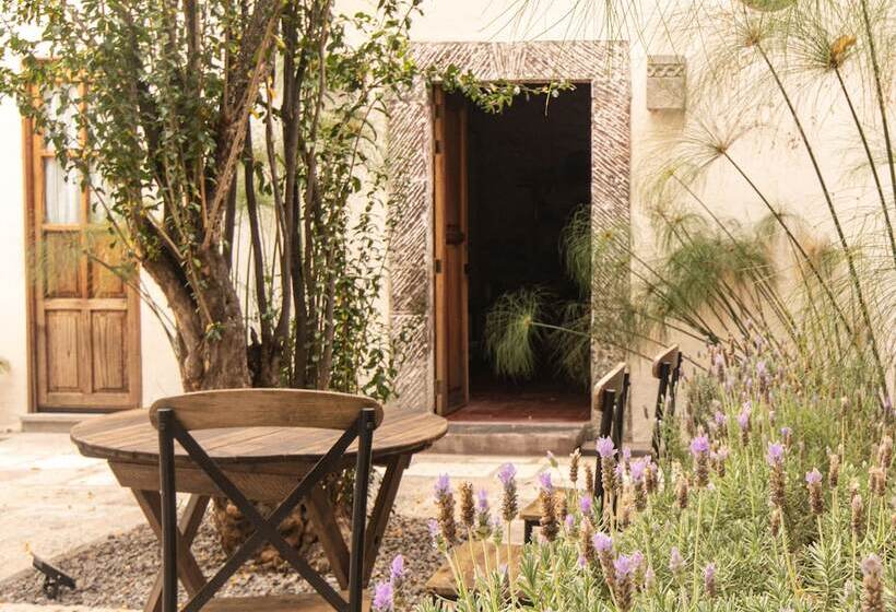 هتل Orchid House San Miguel De Allende
