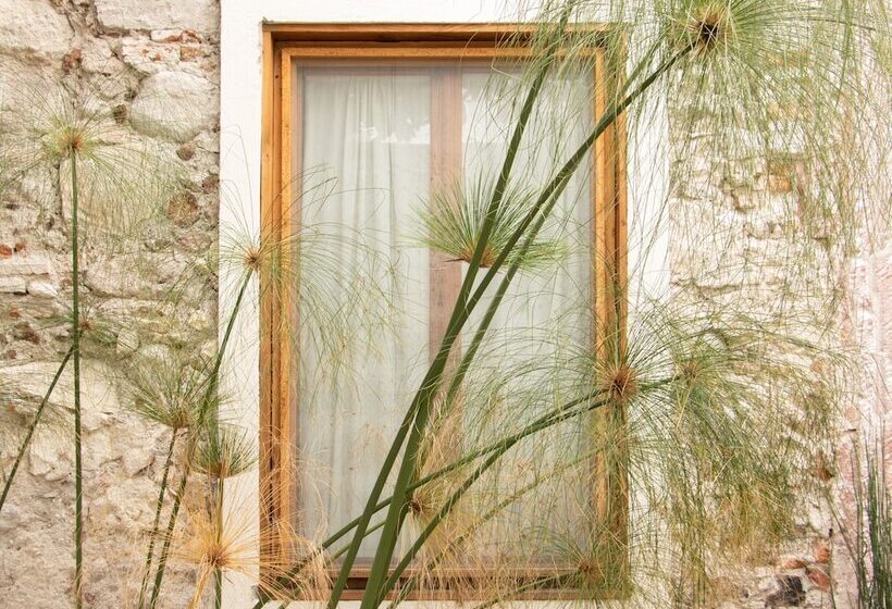 هتل Orchid House San Miguel De Allende