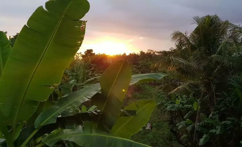 ホテル Ayumar Homestay Medewi