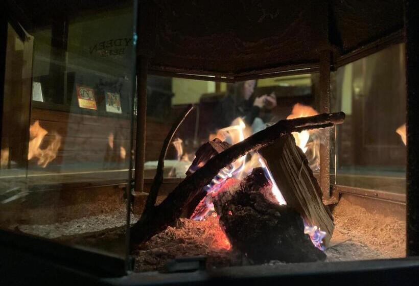 פנסיון Heidi Guest House