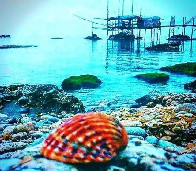 تختخواب و صبحانه Suites Florence