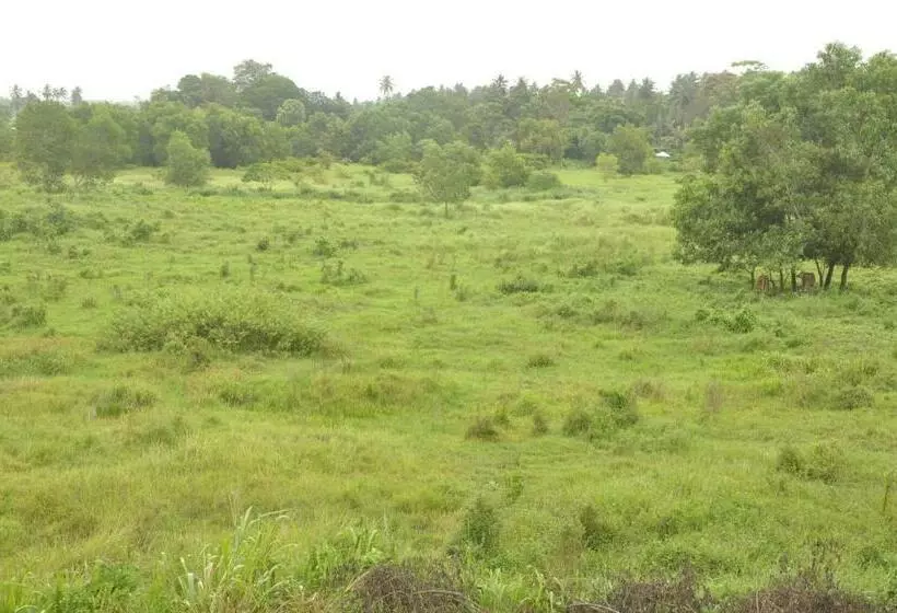 هتل Otha Shy Airport Transit