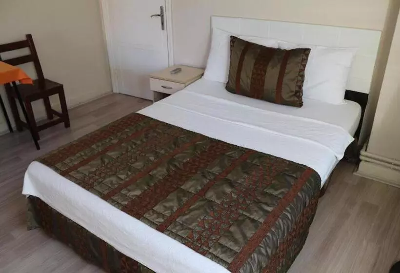 ホテル Ozdemir Pansiyon