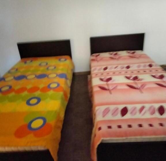 Pensjonat Camera Cu Baie Tina