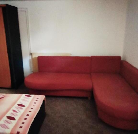 Pensjonat Camera Cu Baie Tina