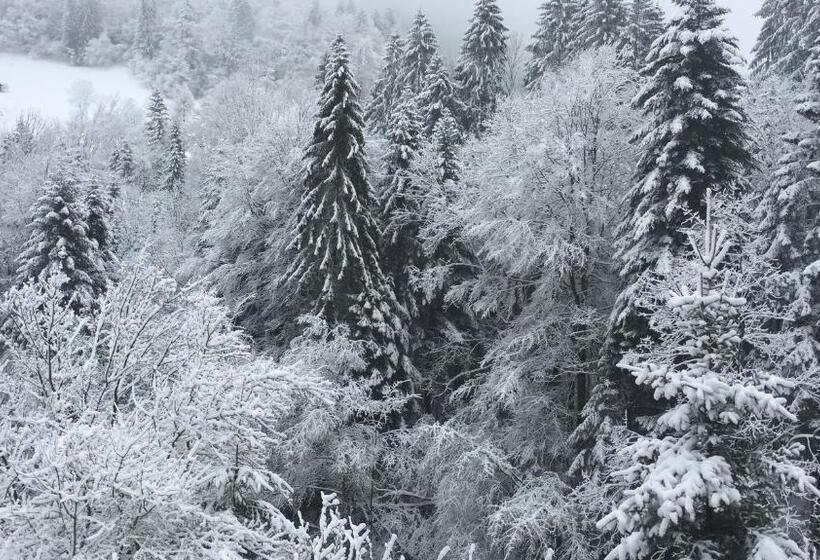 פנסיון Les Quatre Saisons   Balcon Et Jardin