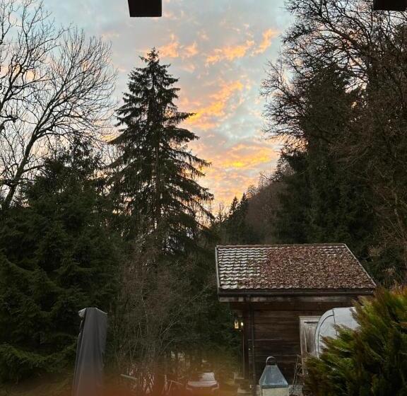 פנסיון Les Quatre Saisons   Balcon Et Jardin