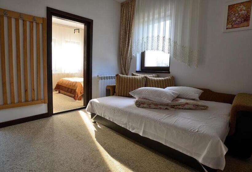 Pensiunea Casa Elvira