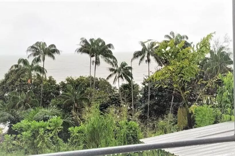 Retkeilymaja Hasina Resort@sedili