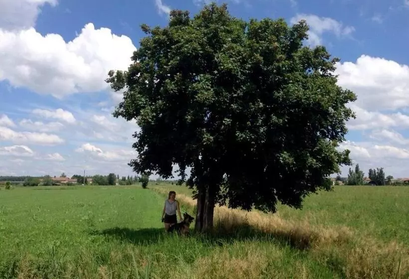 B&b Antica Cascina