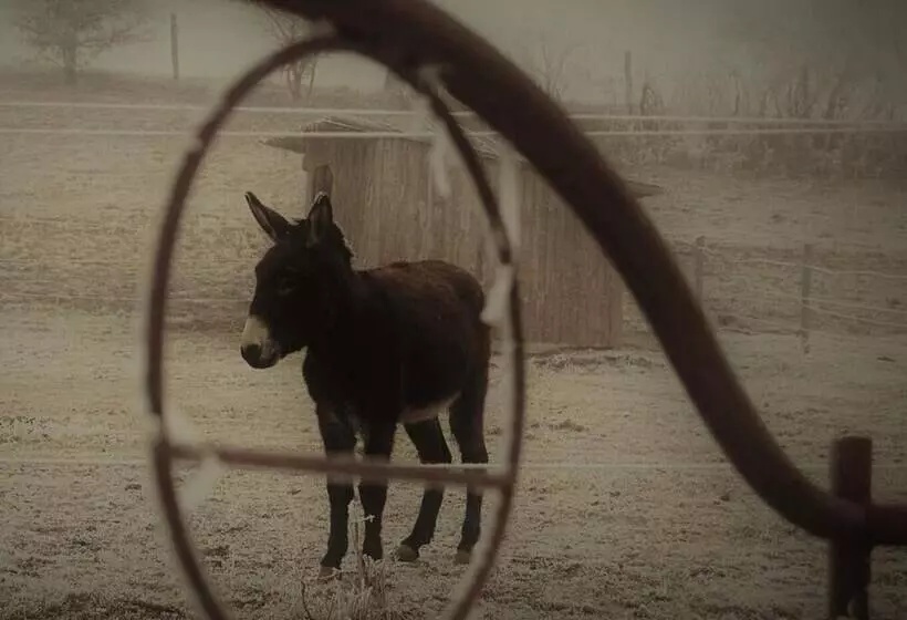 Aamiaismajoitus (B&B) Ferme De Bellevue