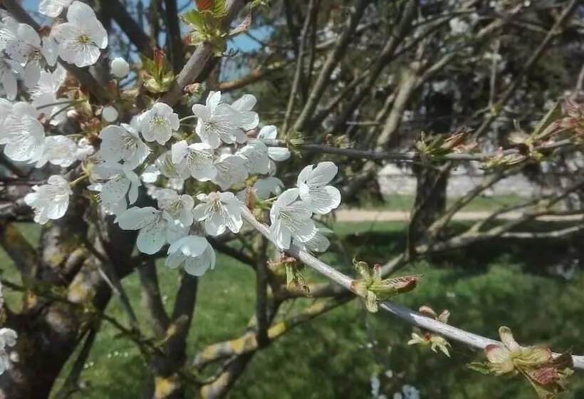 Aamiaismajoitus (B&B) Ferme De Bellevue