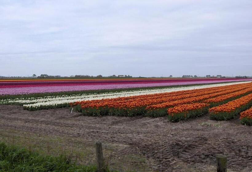 مبيت وإفطار Het Burgemeestershuis