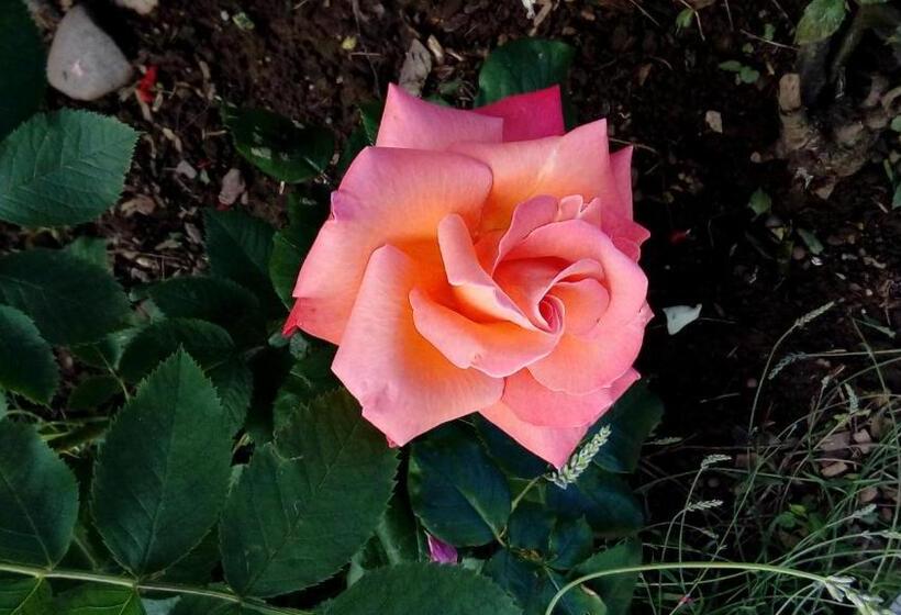 ベッドアンドブレックファースト Le Clos Pré