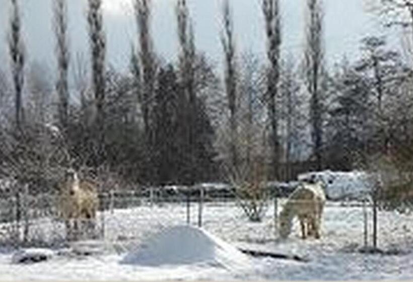 ベッドアンドブレックファースト Le Clos Pré