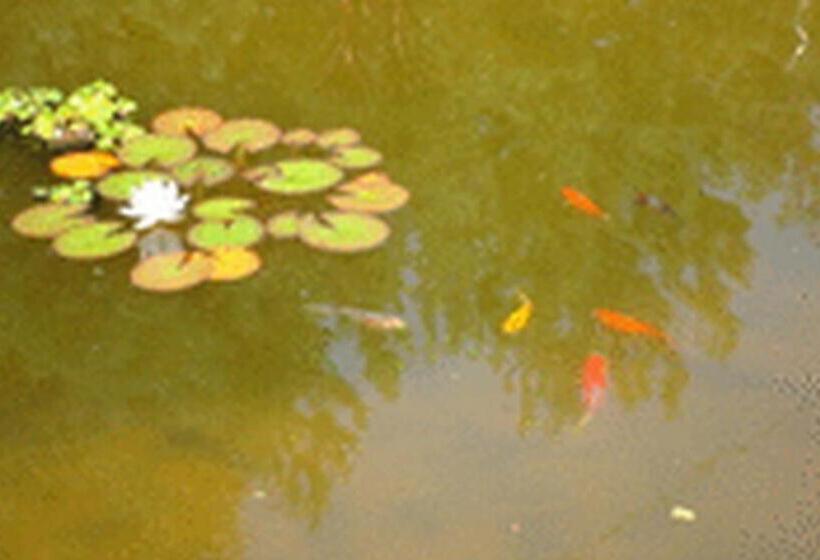 ベッドアンドブレックファースト Le Clos Pré