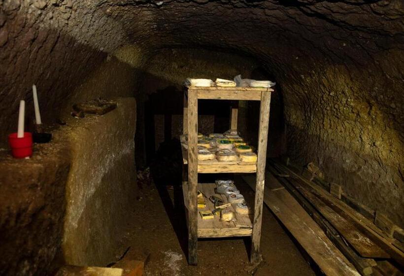 酒店 Hacienda La Alegria