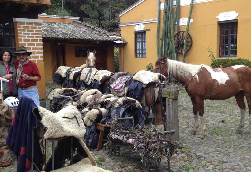 酒店 Hacienda La Alegria