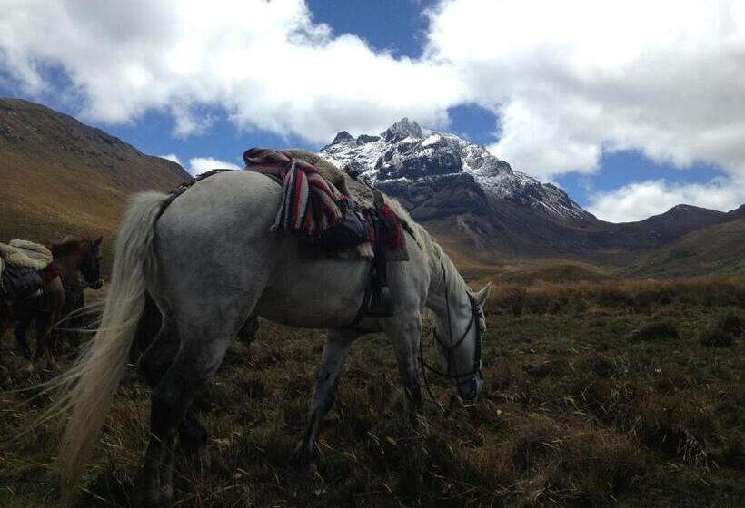 酒店 Hacienda La Alegria